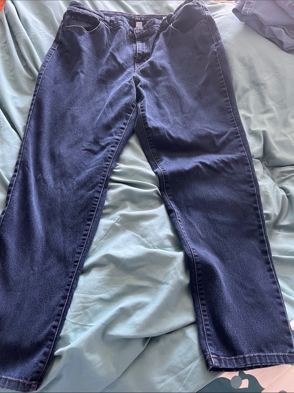 Style & Co. Indigo Skinny Jeans